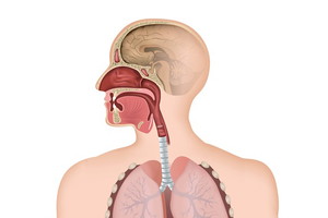 Fotolia