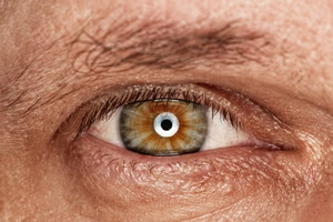 Fotolia