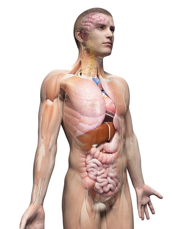 Fotolia