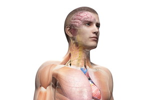 Fotolia