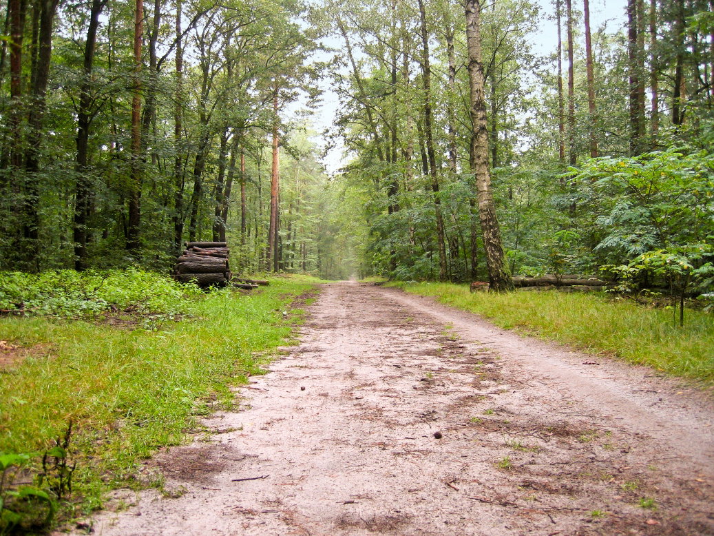 Nieznane