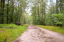 Nieznane