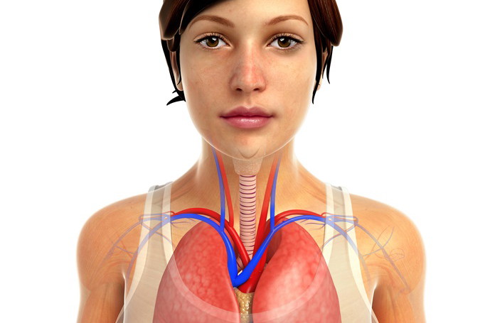 Fotolia