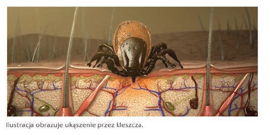 Nieznane