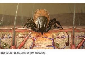Nieznane