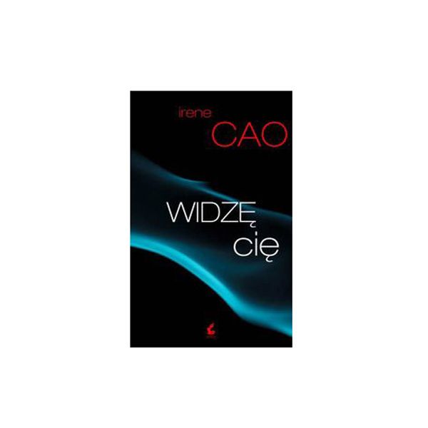 Trylogia zmysłów, tom 1: Widzę cię, cena ok. 30 zł