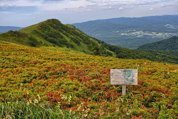 Bieszczady