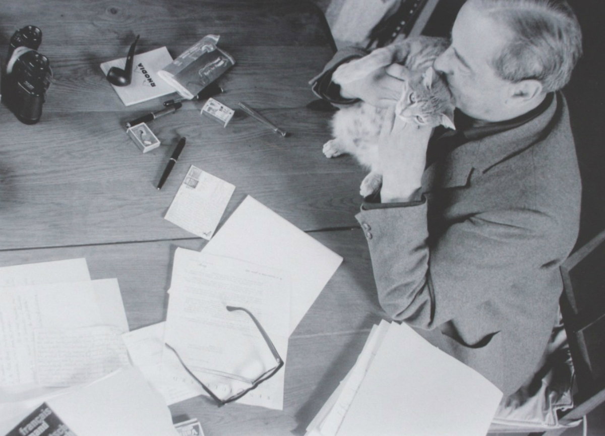 Witold Gombrowicz z kotem Autostopem, 1968