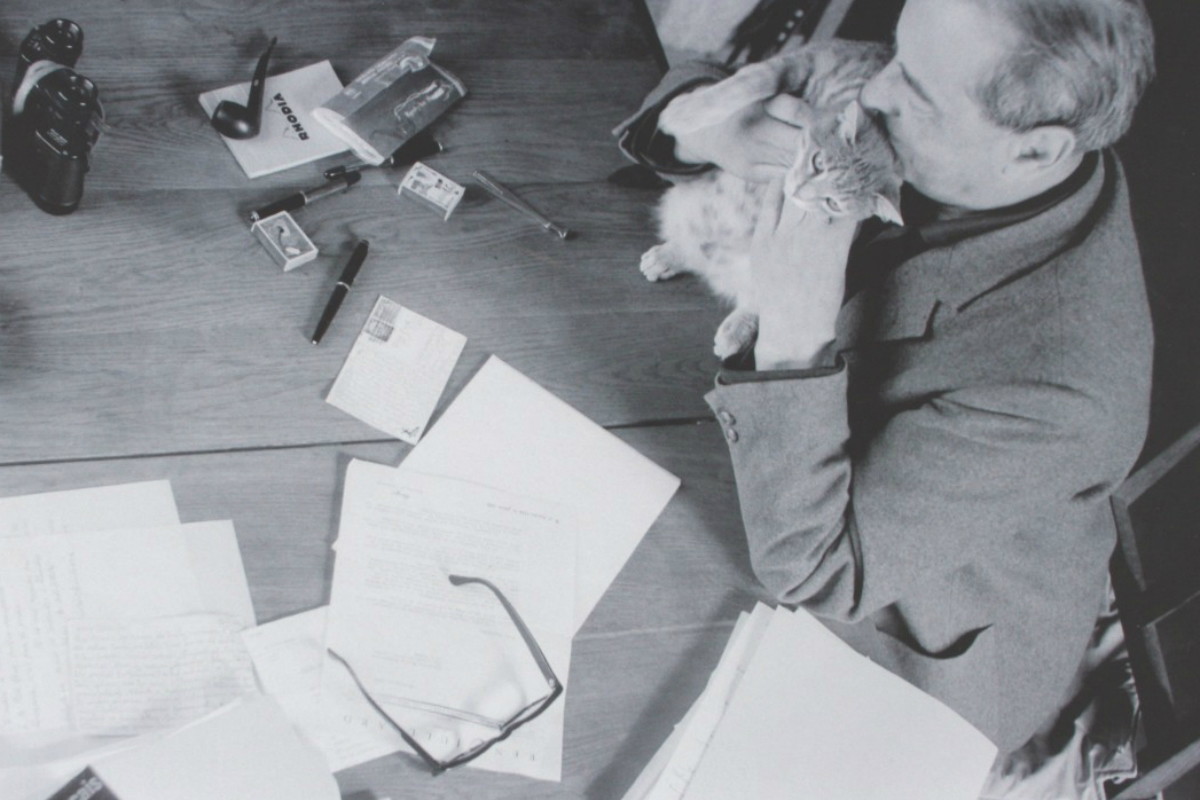 Witold Gombrowicz z kotem Autostopem, 1968