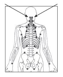 nteligencja-243a32d