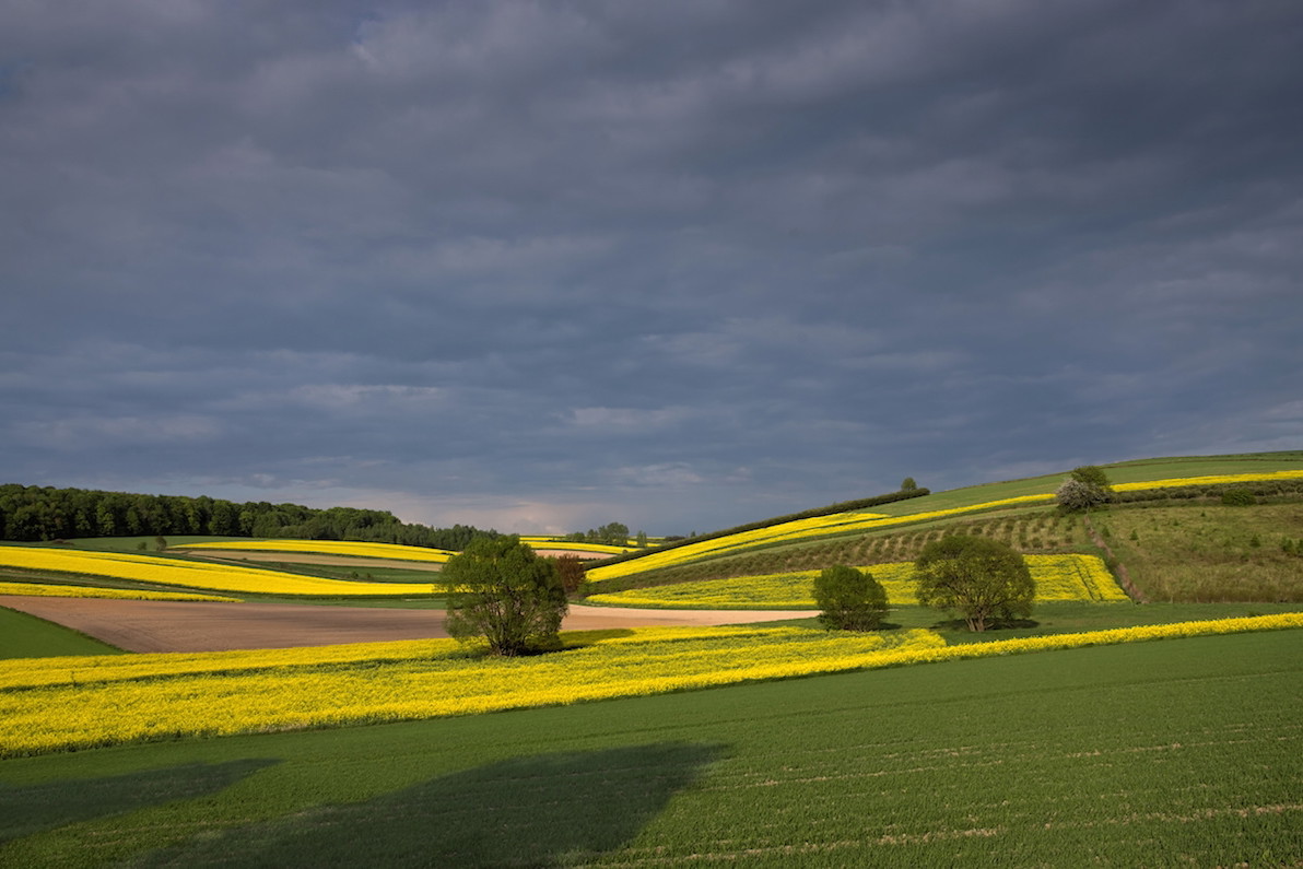 Roztocze