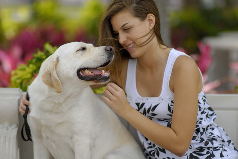 Fotolia
