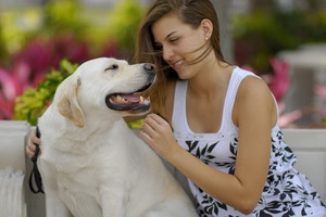 Fotolia