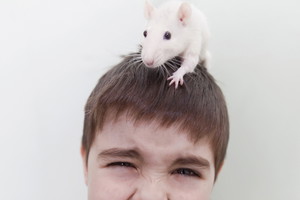 Fotolia