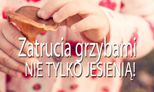 Zatrucia grzybami