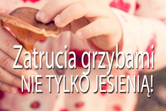 Zatrucia grzybami