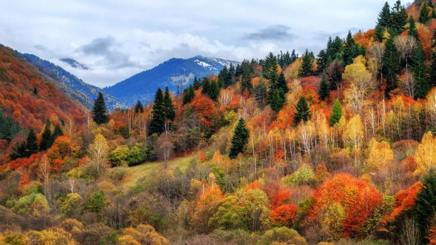 bulgaria-rila-gory-2426523-5266239