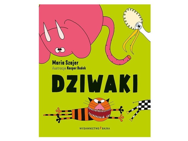 ksiazka-dziwaki-2445241-c6db98f