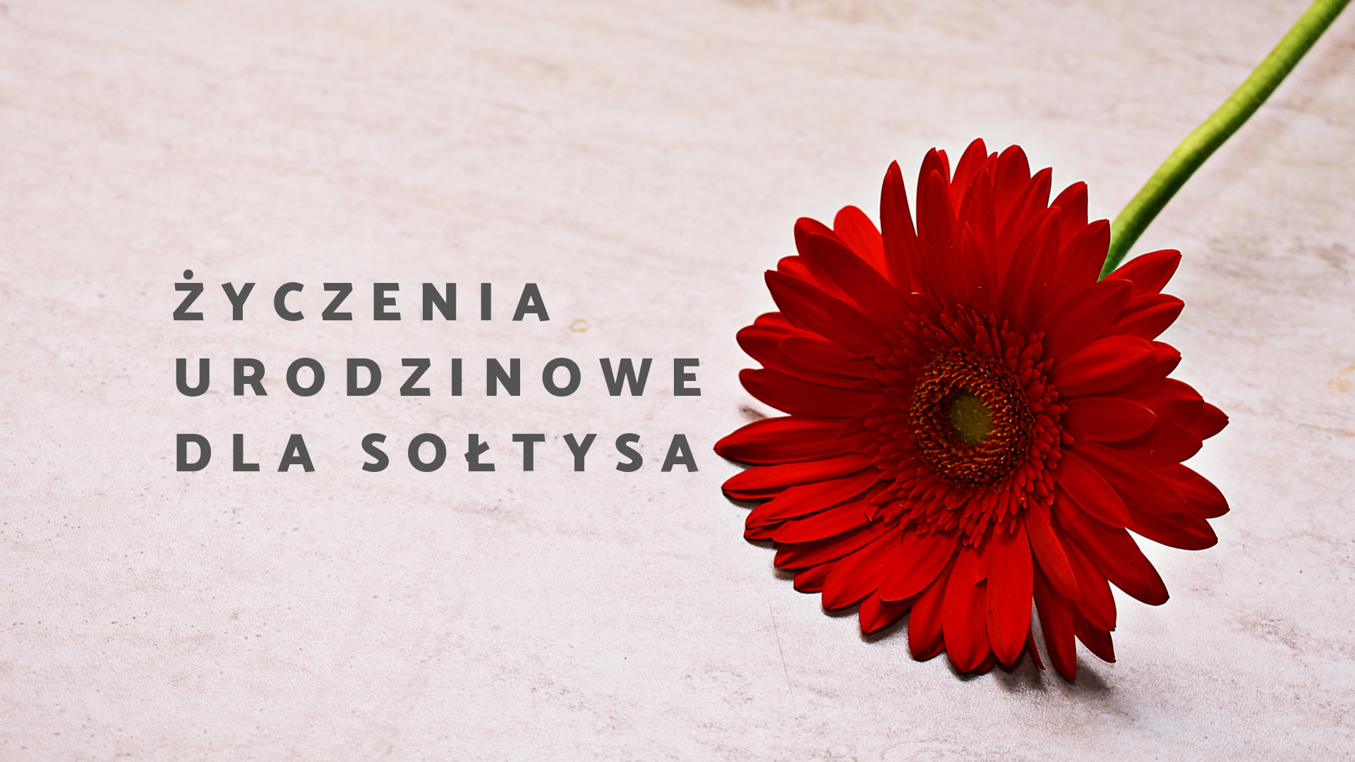 życzenia urodzinowe dla sołtysa