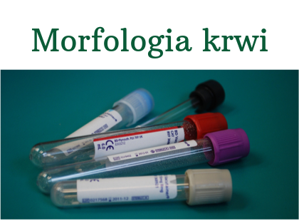 Morfologia krwi - normy wyników badań