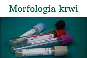 Morfologia krwi - normy wyników badań