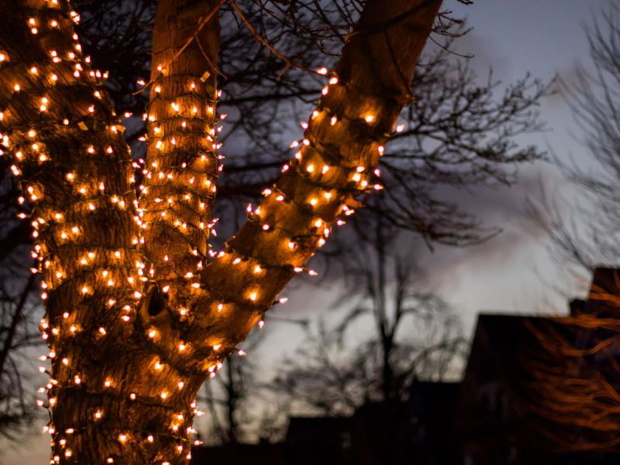 jakie-lampki-swiateczne-led-2491751-09b1fcb