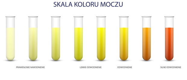 test-na-odwodnienie-kolor-moczu-2485065-4fc19a4