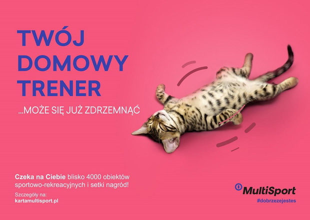 multisport-2457684-a61403f