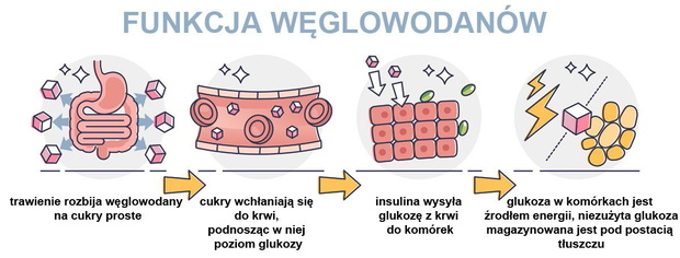 funkcje-glukozy-2507968-ec9fc4f