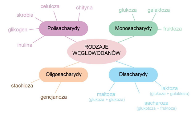 weglowodany-2507967-895095f
