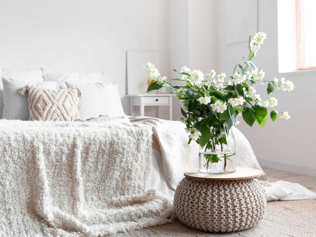 najzdrowsze-kwiaty-do-sypialni-jasmin-2508474-27c5e27