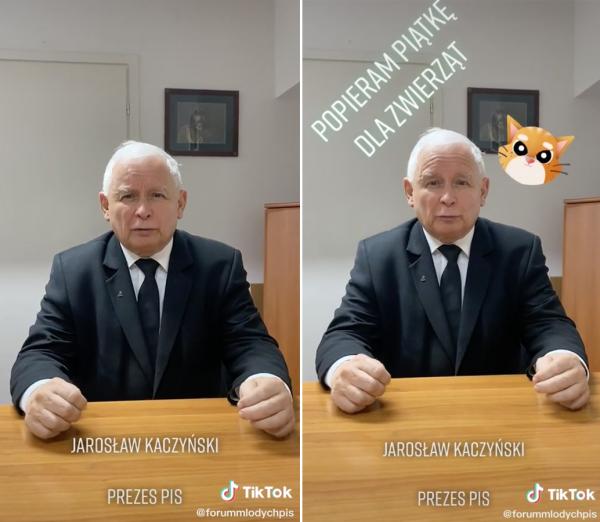 jaroslaw-kaczynski-na-tik-toku-2459666-c3b36e8