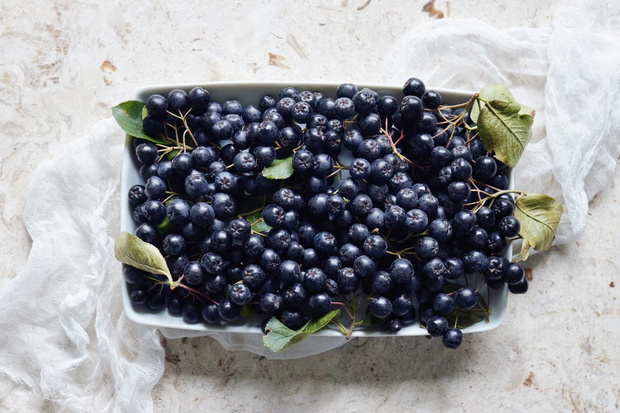 aronia-dziala-przeciwzakrzepowo-2487165-0843619