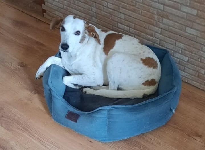 Sunia Jenny toz wroc