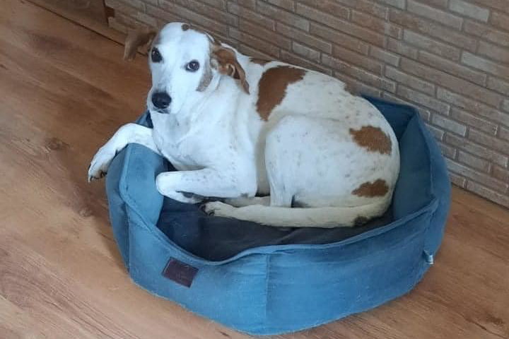 Sunia Jenny toz wroc