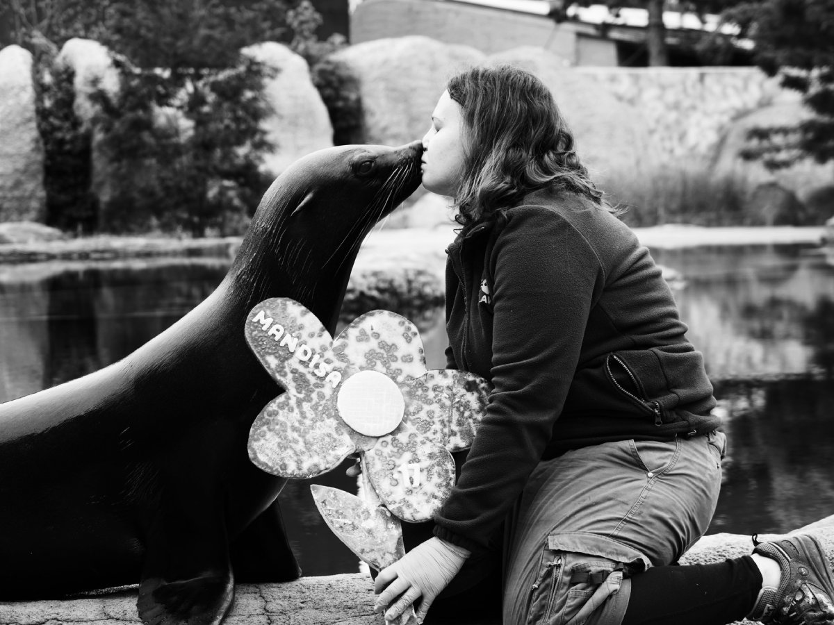 Nie żyje foczka z wrocławskiego ZOO