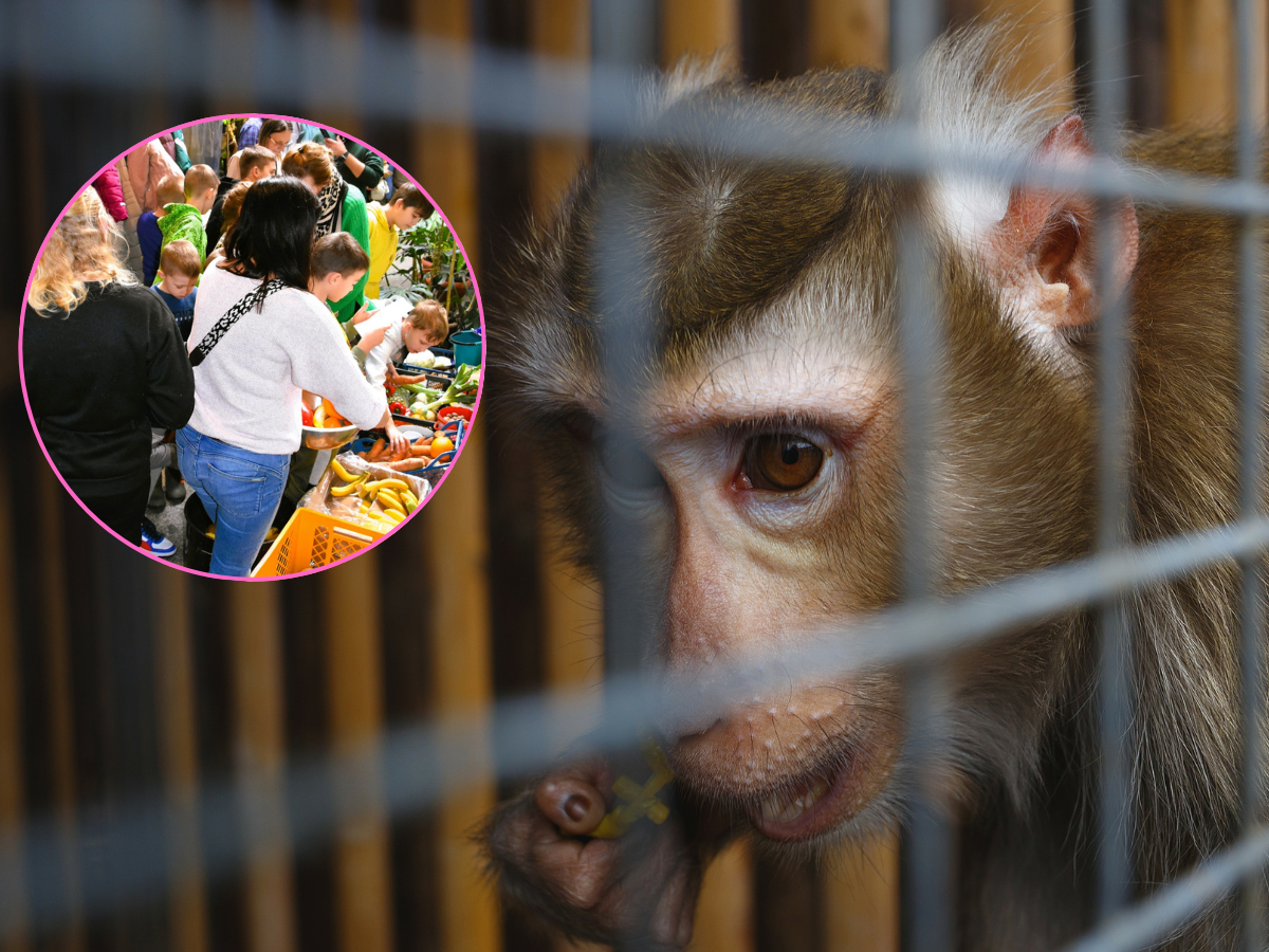Dzieci pomogły potrzebującym zwierzakom z ZOO w Zamościu