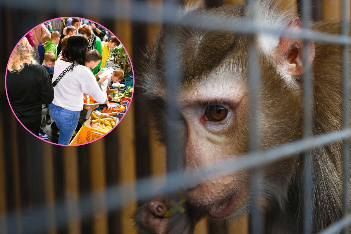 Dzieci pomogły potrzebującym zwierzakom z ZOO w Zamościu