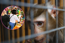 Dzieci pomogły potrzebującym zwierzakom z ZOO w Zamościu