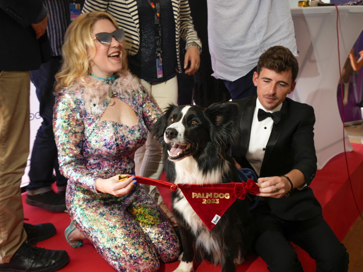 Psiak nową gwiazdą Hollywood. Zdobył Złotą Palmę, a jego film walczy o Oscara 2024