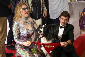 Psiak nową gwiazdą Hollywood. Zdobył Złotą Palmę, a jego film walczy o Oscara 2024