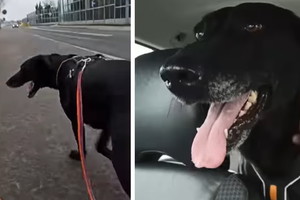 Pani Saby umarła, ale to nie koniec jej kłopotów. Teraz będzie tylko gorzej