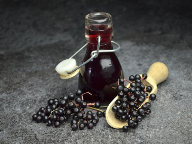 przetwory-z-czarnego-bzu-syrop-z-czarnego-bzu-2489440-c9c428a