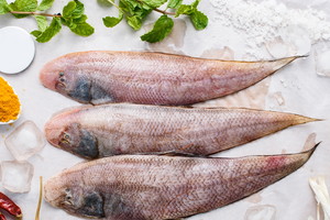 sola ryba