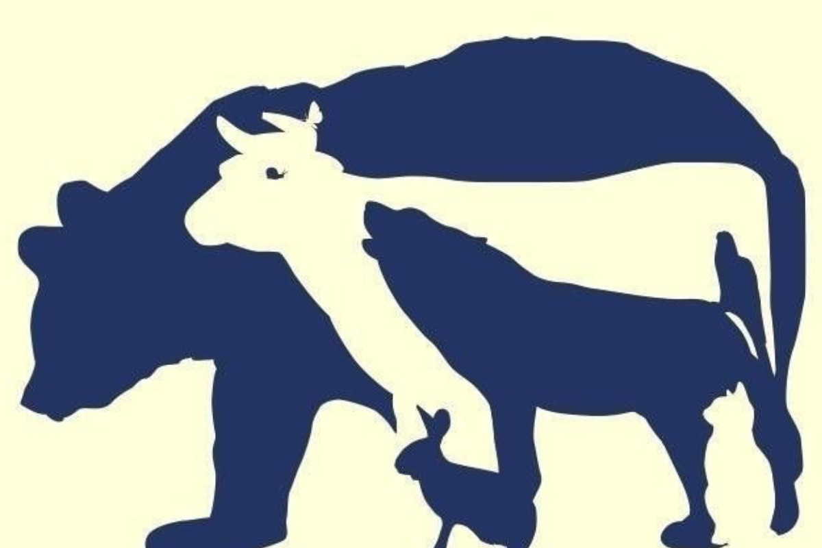 Ile zwierząt widzisz na obrazku? Tylko najbardziej spostrzegawczy dostrzegą wszystkie