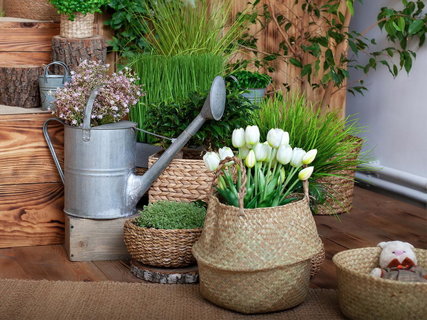 bukiety-wielkanocne-przed-domem-2467083-f07d5c7
