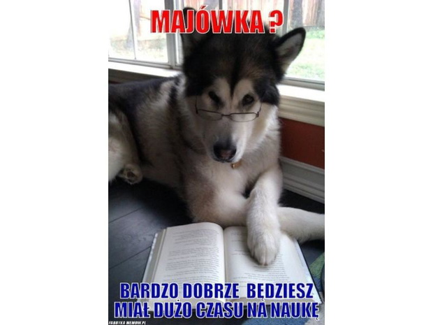 memy-o-majowce-2512044-ab0473a