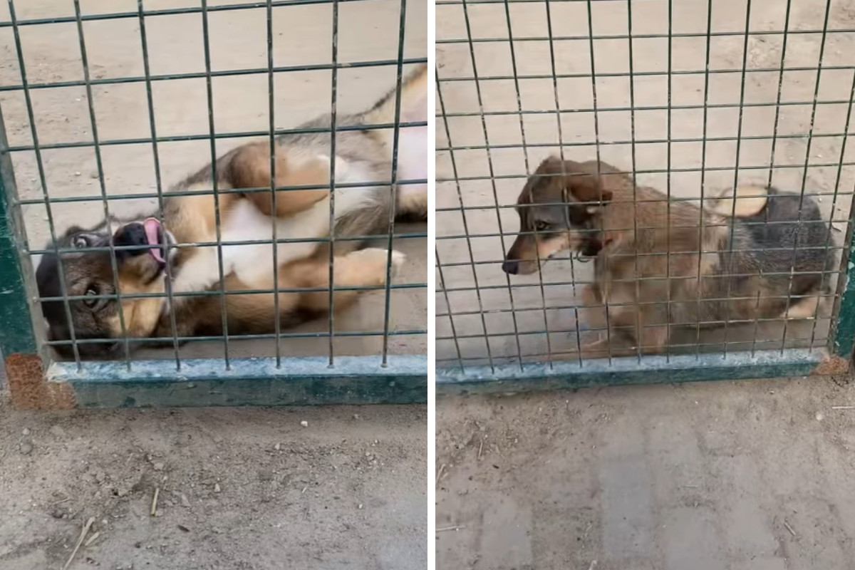 Wiedziała, że ma jechać do domu, czekała, ale nie przyjechali. To nie pierwszy raz, gdy człowiek ją zawiódł