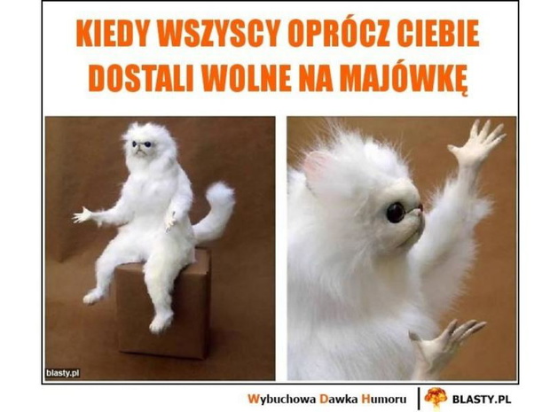 majowka-memy-o-pracy-2512047-5dde6c6