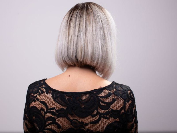 grey-bob-2511934-bdc5441